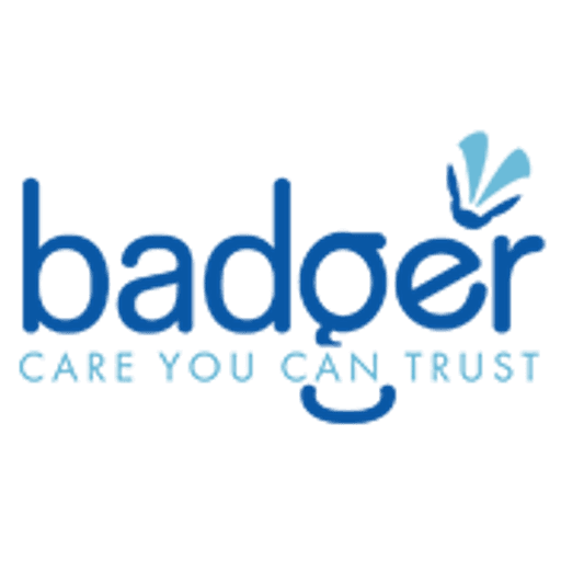 BADGER Group logo
