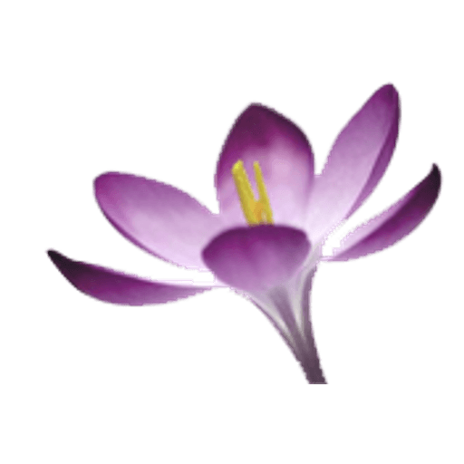 Crocus Medical Practice logo