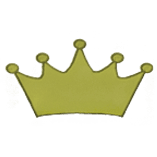 Crown Medical Practice logo
